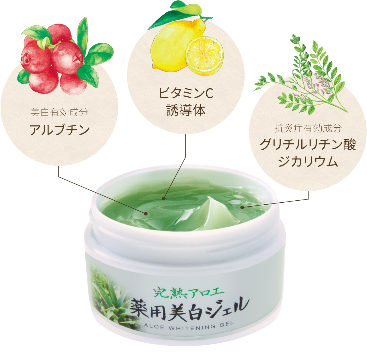 完熟アロエ　薬用美白ジェル　100グラム　5個セット 完熟アロエ 薬用美白ジェル | アロエ本舗株式会社