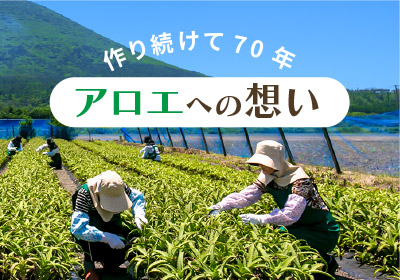 アロエへの想い