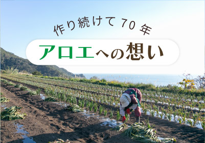 アロエへの想い