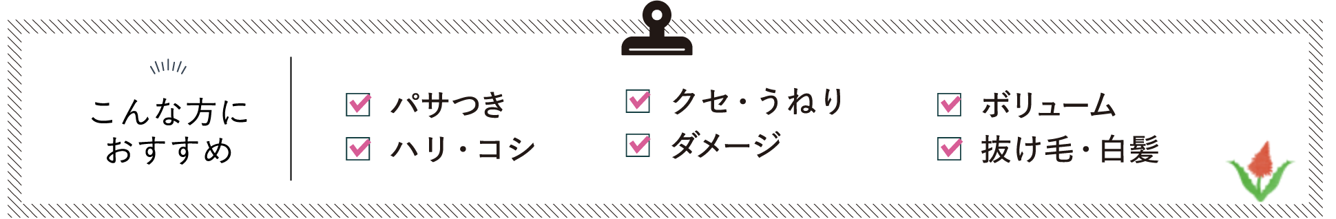 こんな方におすすめ
